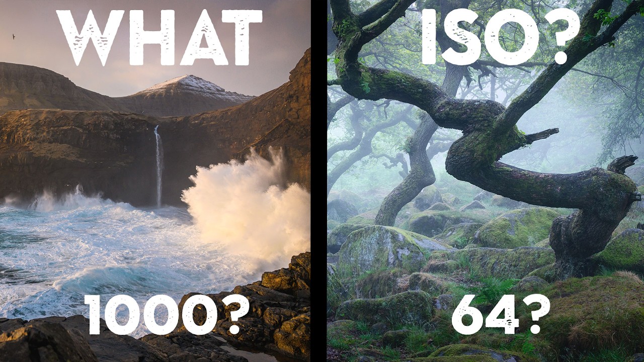 Stop Chasing the Perfect ISO: Two Beginner Mistakes That Are Hurting Your Photos