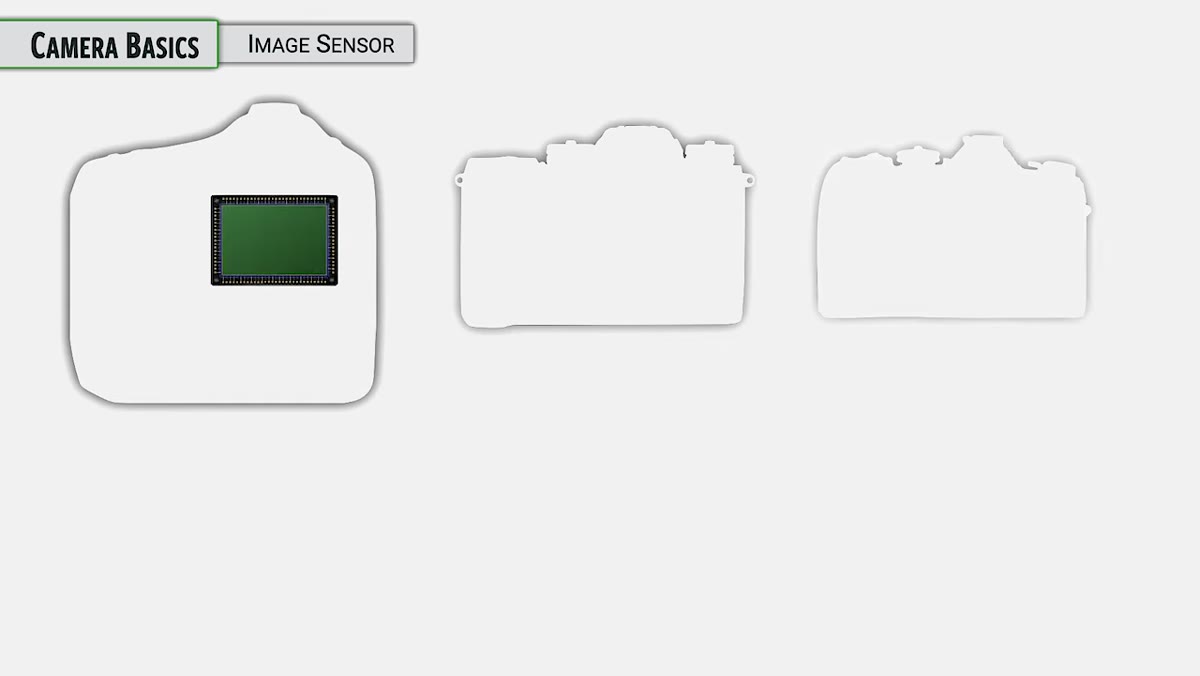 Full-frame sensor size comparison graphic on screen