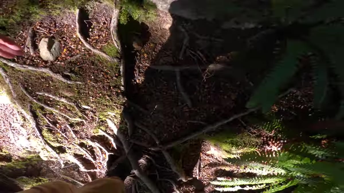 Hiker ascending steep mountain trail toward glacier