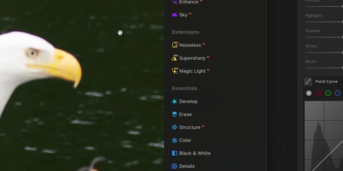 Dragging image into Luminar Neo editing interface