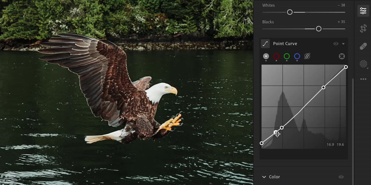 Tone curve adjustment panel open in Lightroom