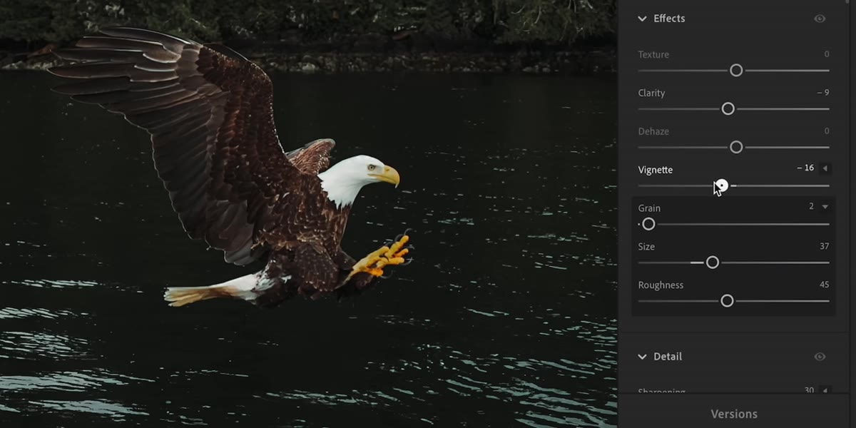 Vignette being added in Lightroom effects panel