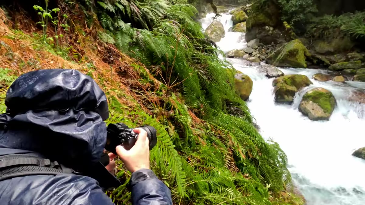 Photographer shooting handheld through dense rainforest undergrowth