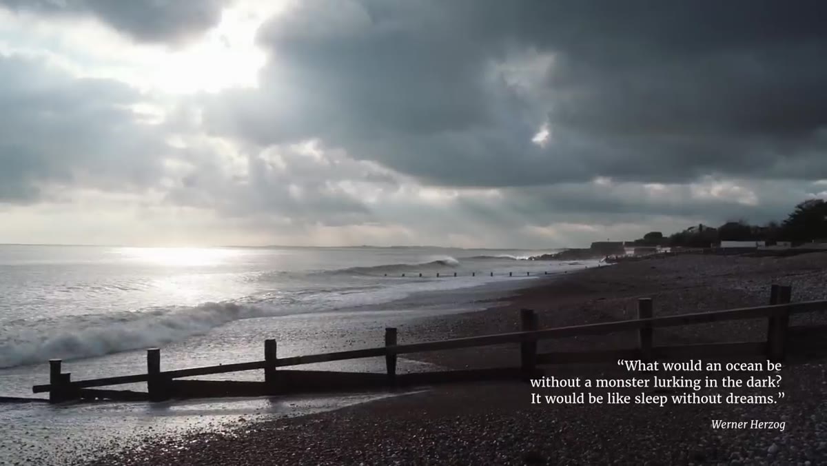 Rachael speaking to camera, coastal imagery introduced