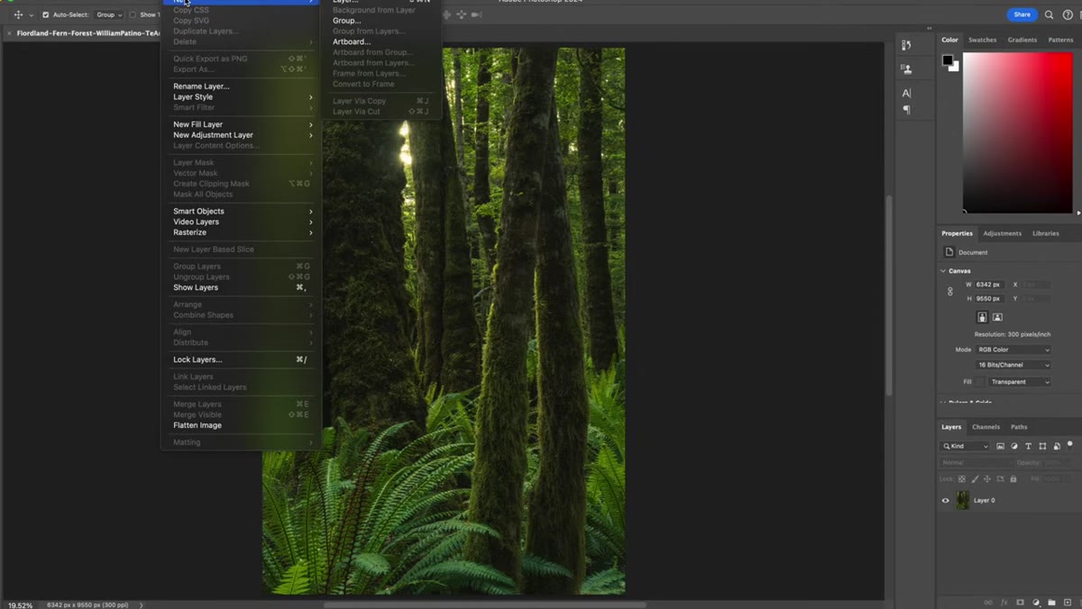 Layer menu open, &ldquo;New Layer&rdquo; option highlighted