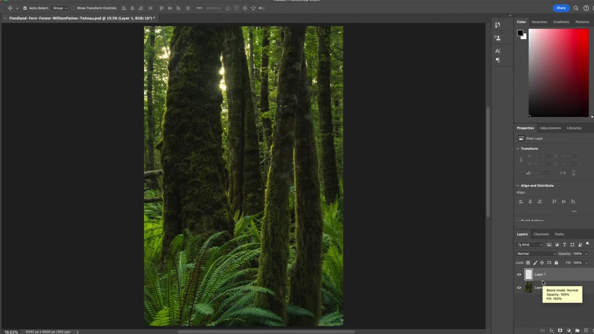 Fill dialog box with 50% Gray and Screen blend mode selected