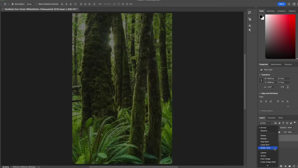 Layers panel showing Screen blend mode and opacity slider at 50%