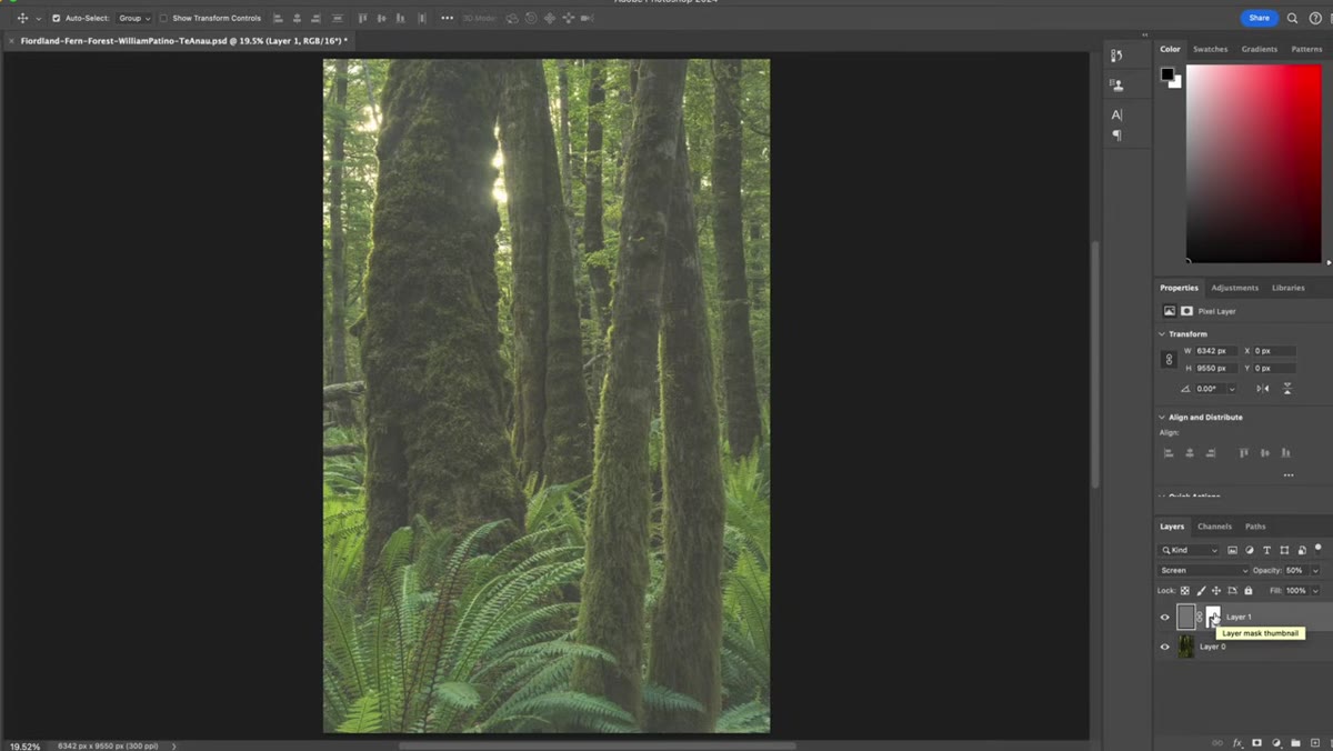 White brush strokes being painted onto black mask over background trees