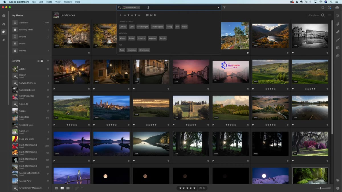 Search bar at the top of Lightroom with folder name shown