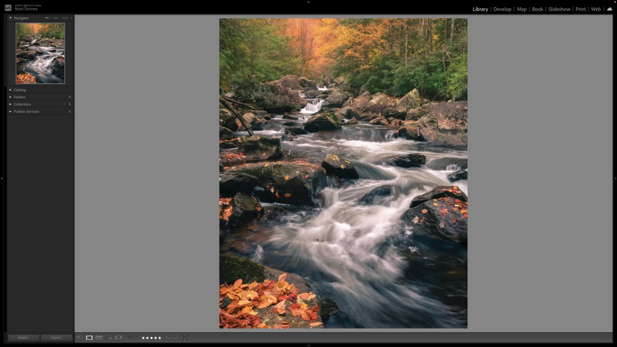 Autumn forest scene in West Virginia, camera moving through trees