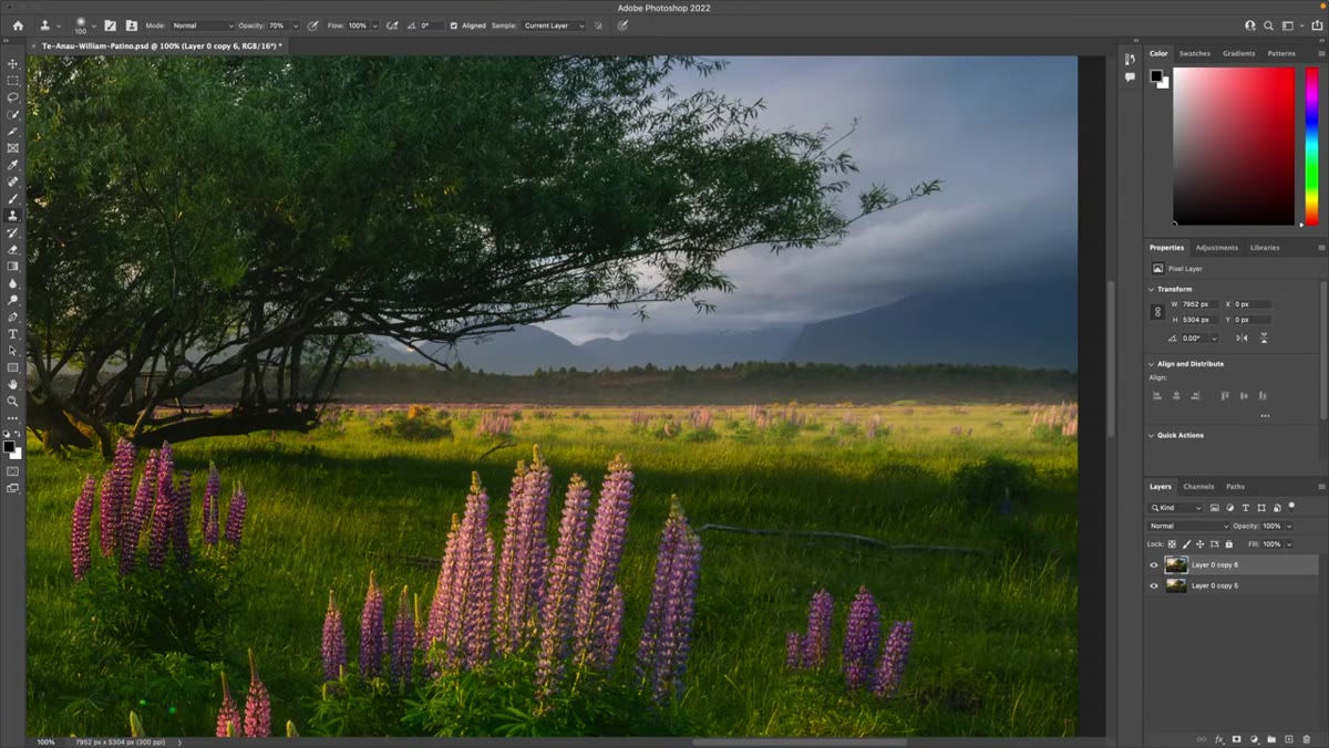 Scrolling across the image while zoomed in checking different areas