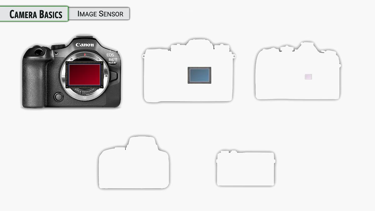 Full-frame sensor size comparison graphic