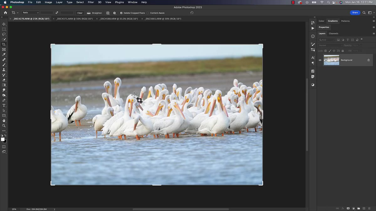 Photoshop crop tool selected, straighten tool highlighted in toolbar