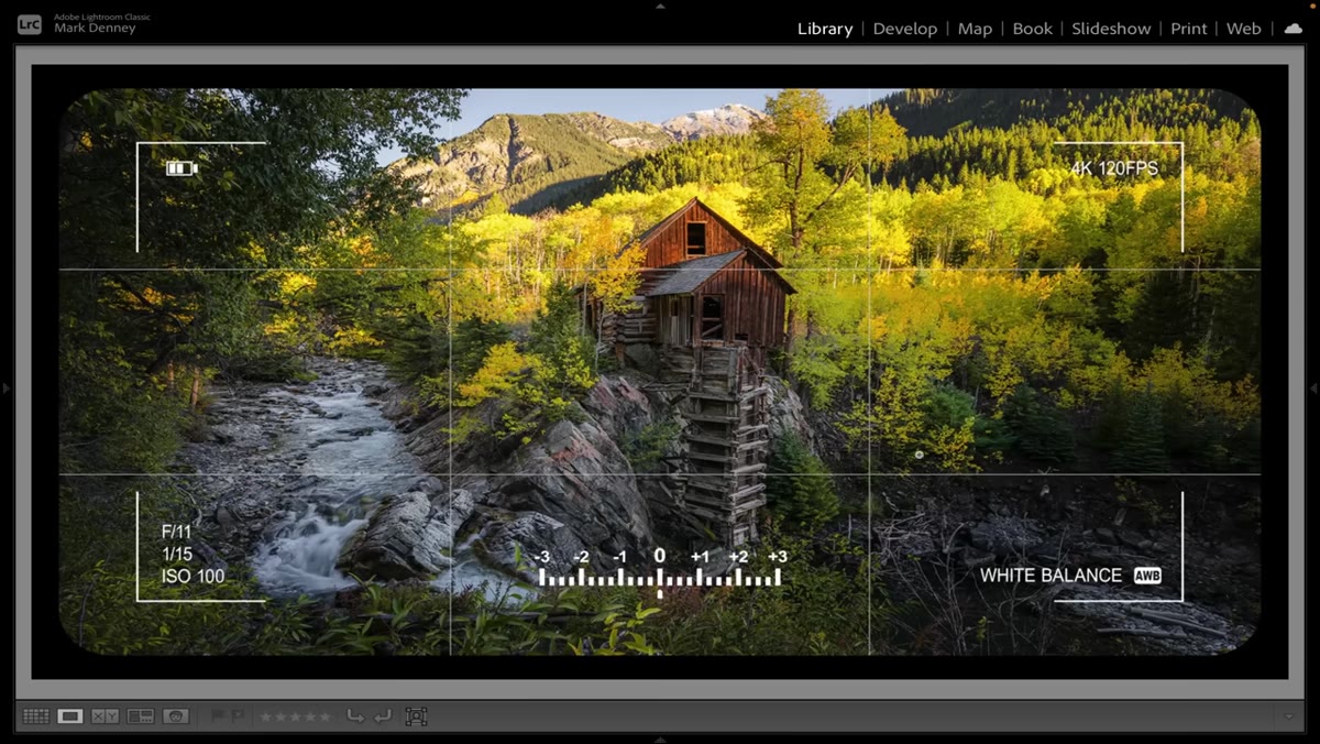 Camera focusing on foreground vegetation instead of the scene&rsquo;s subject