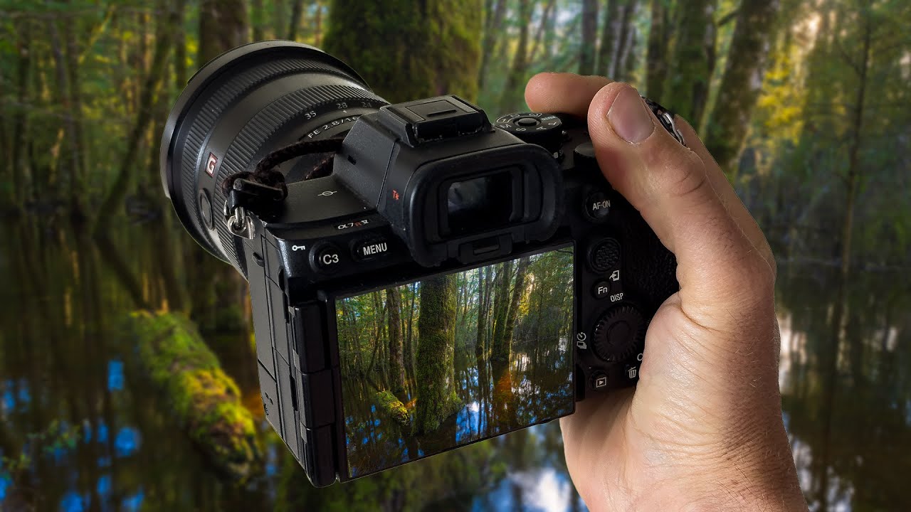 When Bad Weather Creates Rare Shots: What I Learned from Photographing a Flooded Ancient Forest