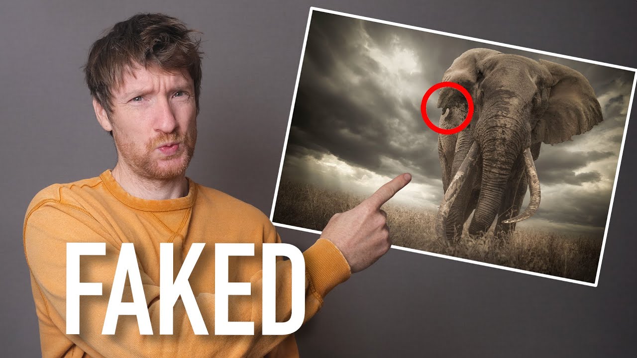 When Editing Becomes Cheating: What Disqualified Photos Teach Us About Competition Rules