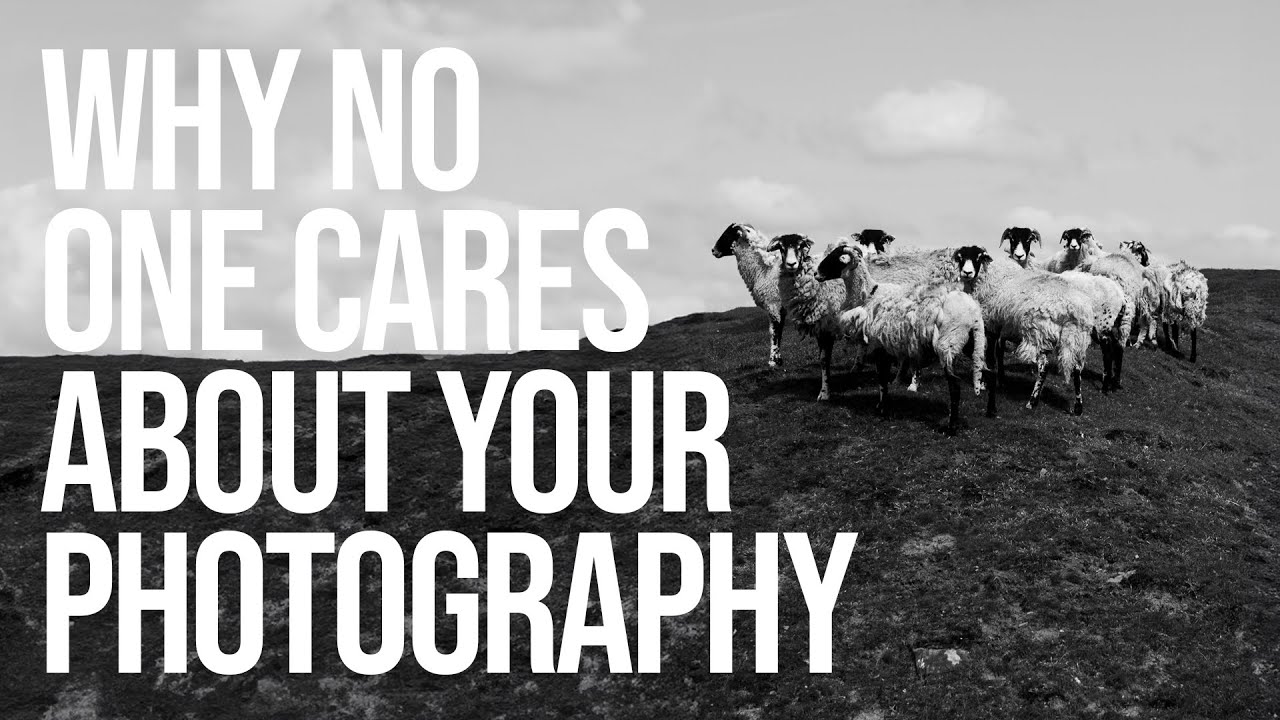Why Your Best Photos Get Ignored (And What That Actually Means for Your Growth)